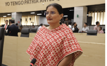 Diputada Esther Martínez propone reconocer la violencia estética como  violencia contra las mujeres